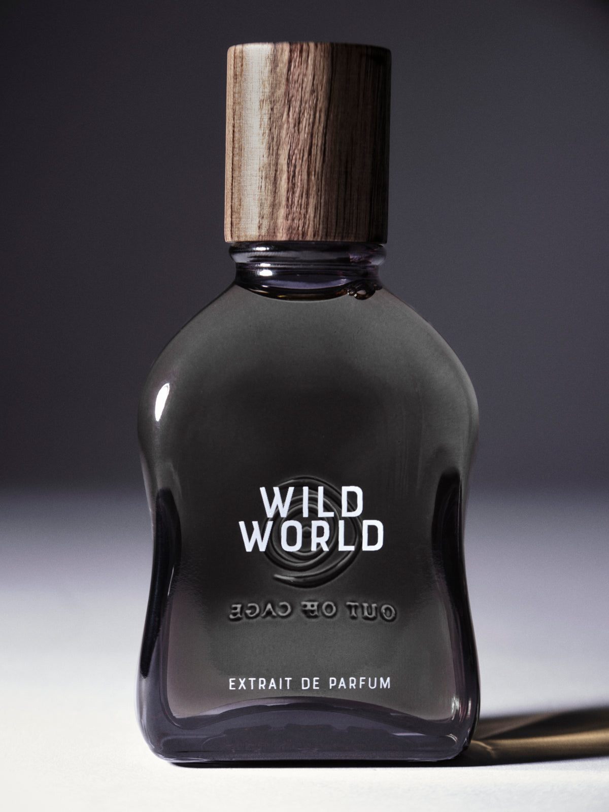 WILD WORLD