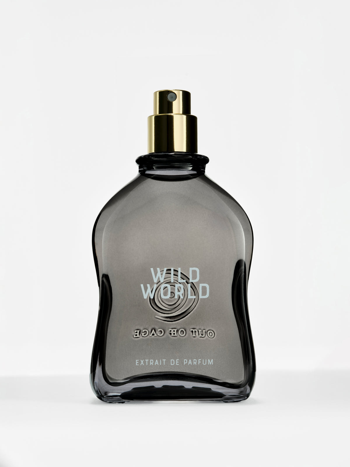 WILD WORLD